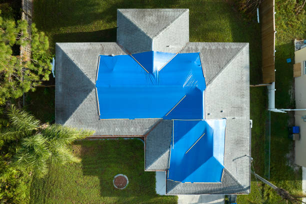Best Asphalt Shingle Roofing  in Cassville, WV