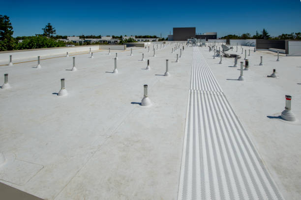 Best Storm Damage Roof Repair  in Cassville, WV